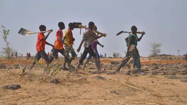 [DE Copy] Niger_COP27-HEADER