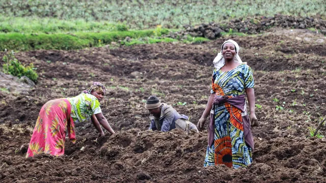 [DE Copy] UNCCD_COP16_Header