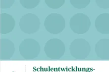 Schulentwicklungsmaßnahmen wirkungsvoll gestalten