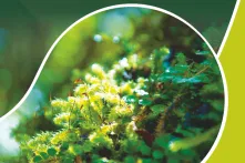 PSA Policy Brief land-use-resilience cover