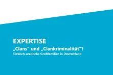 Cover MDI-Expertise Clankriminalität