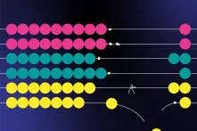 Economic Justice_Teaser