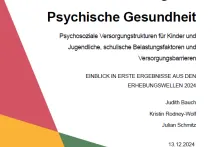 Cover Bipsy Factsheet erste Erhebungswelle 2024 