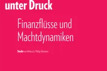 210126_Studie_LokaleFriedensförderung_GPPI-1.png
