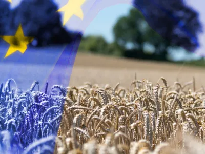 Europas Landnutzung_470x577
