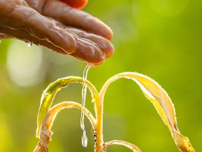 Philanthropy Coalition for Climate Projektbild 570x477 Header