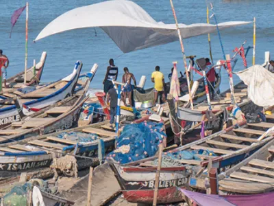 Projektbild Klimabedingte Migration Infobox