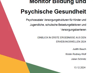 Cover Bipsy Factsheet erste Erhebungswelle 2024 
