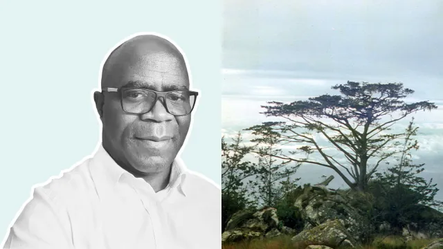GLF_Steve Makungwa
