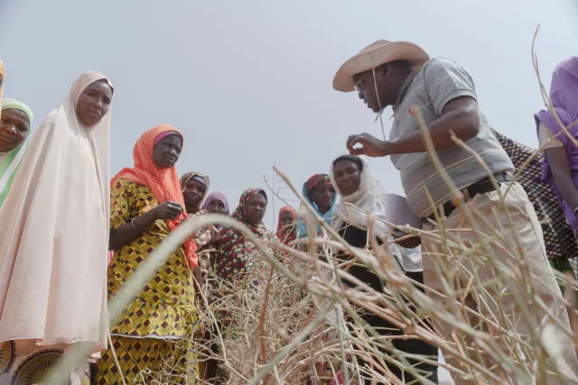 [DE Copy] COP27_Niger-Workshops